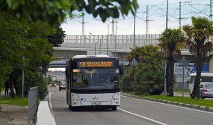 Общественный транспорт Сочи: проблемы и планы развития
