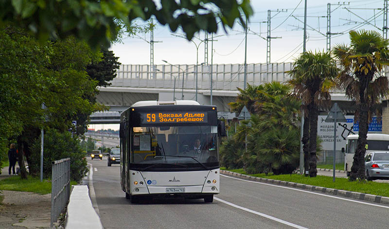 Транспорт сочи сайт. 17 Автобус в Сочи. Сочи транспорт Сочи. Автобус 105 Сочи Адлер. Общественный транспорт Адлера.